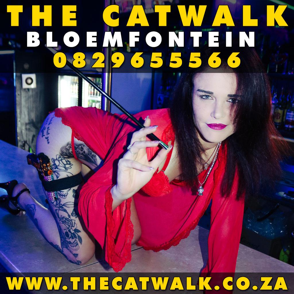 The Catwalk — News