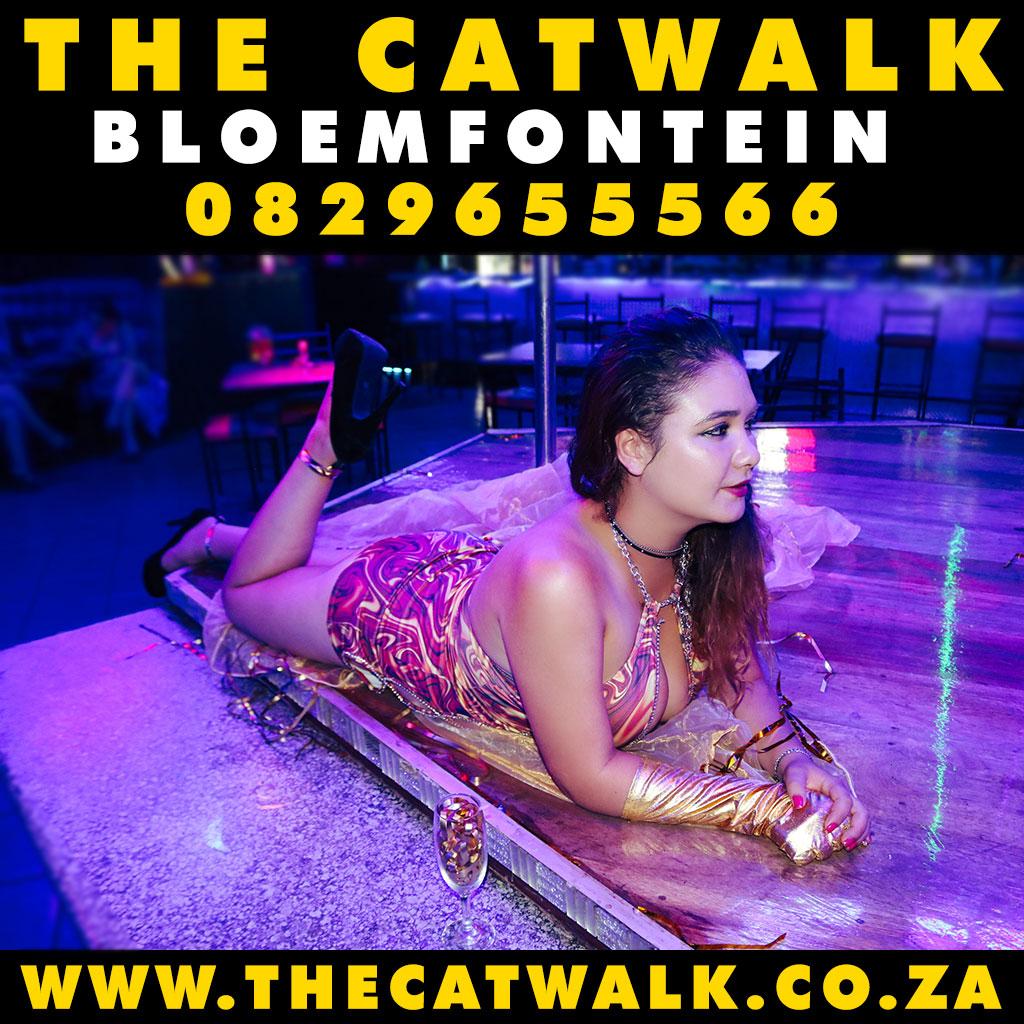 The Catwalk — News