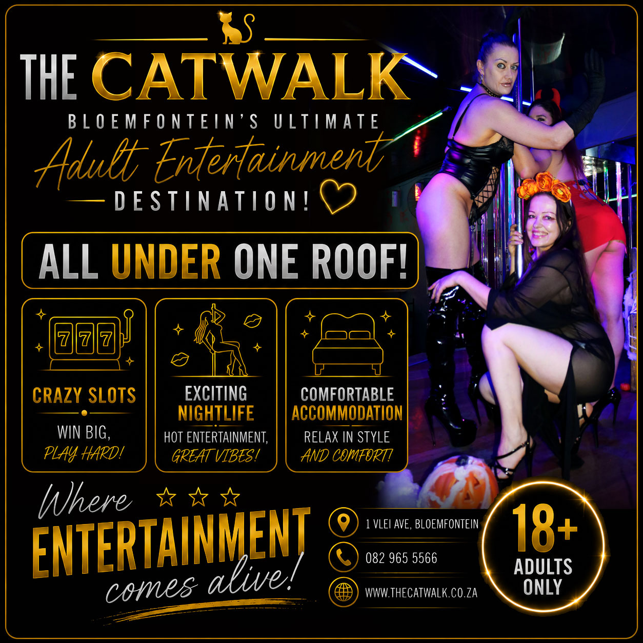 The Catwalk — News