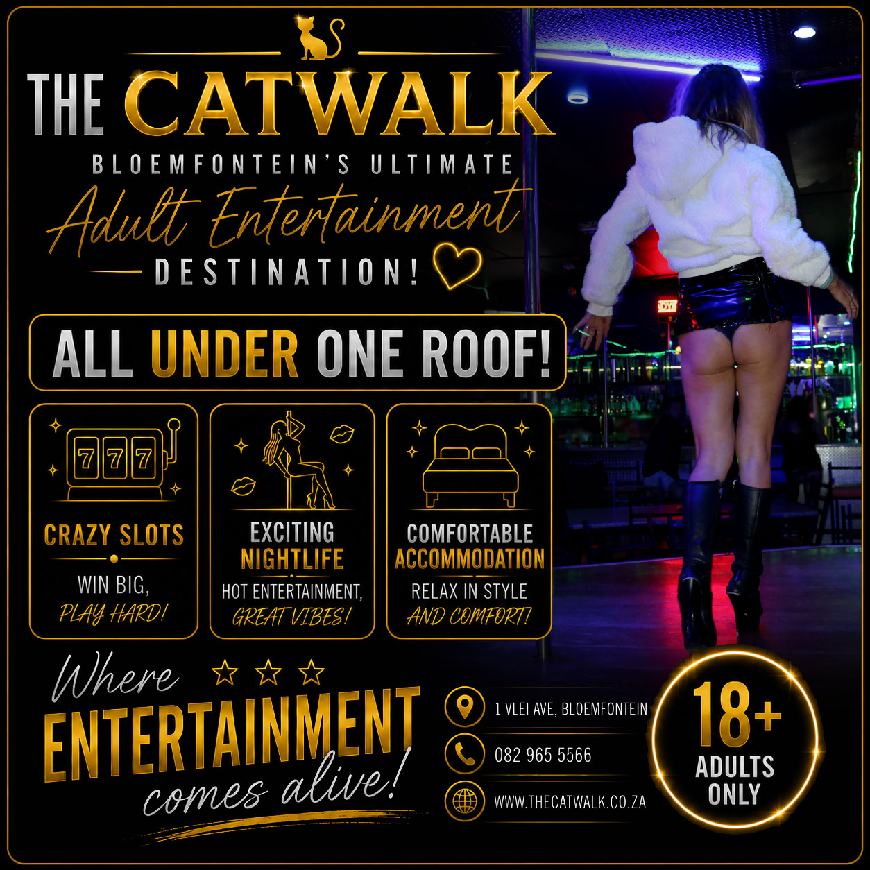The Catwalk — News
