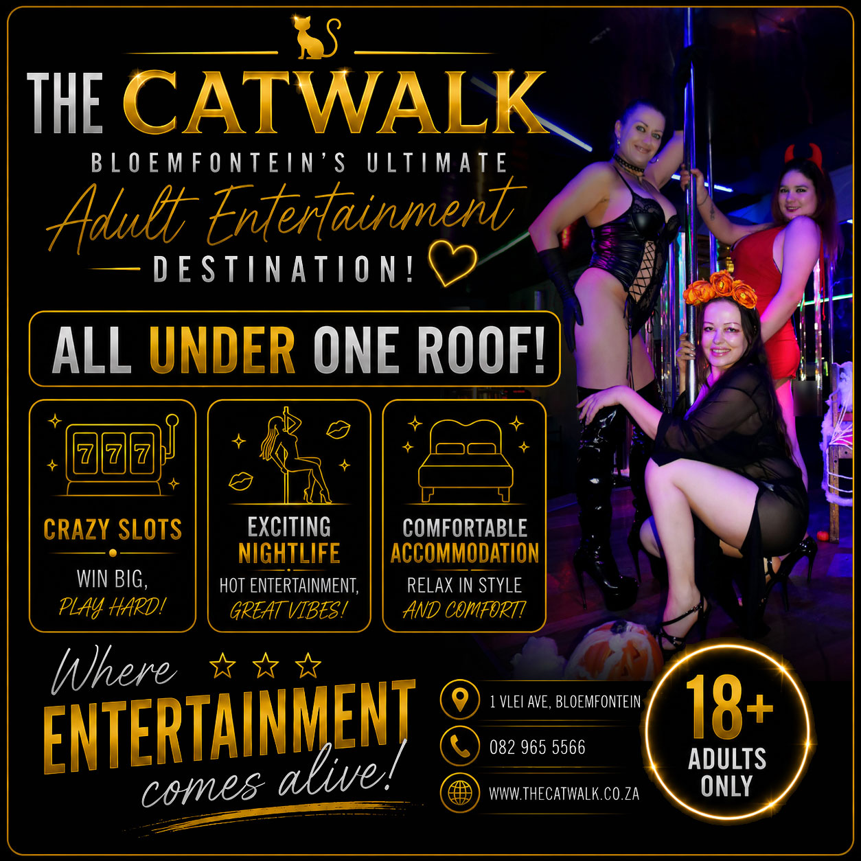 The Catwalk — News