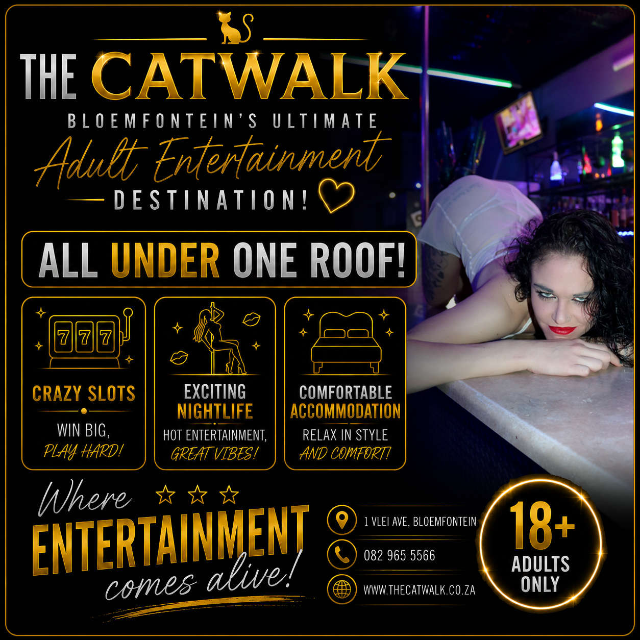 The Catwalk — News