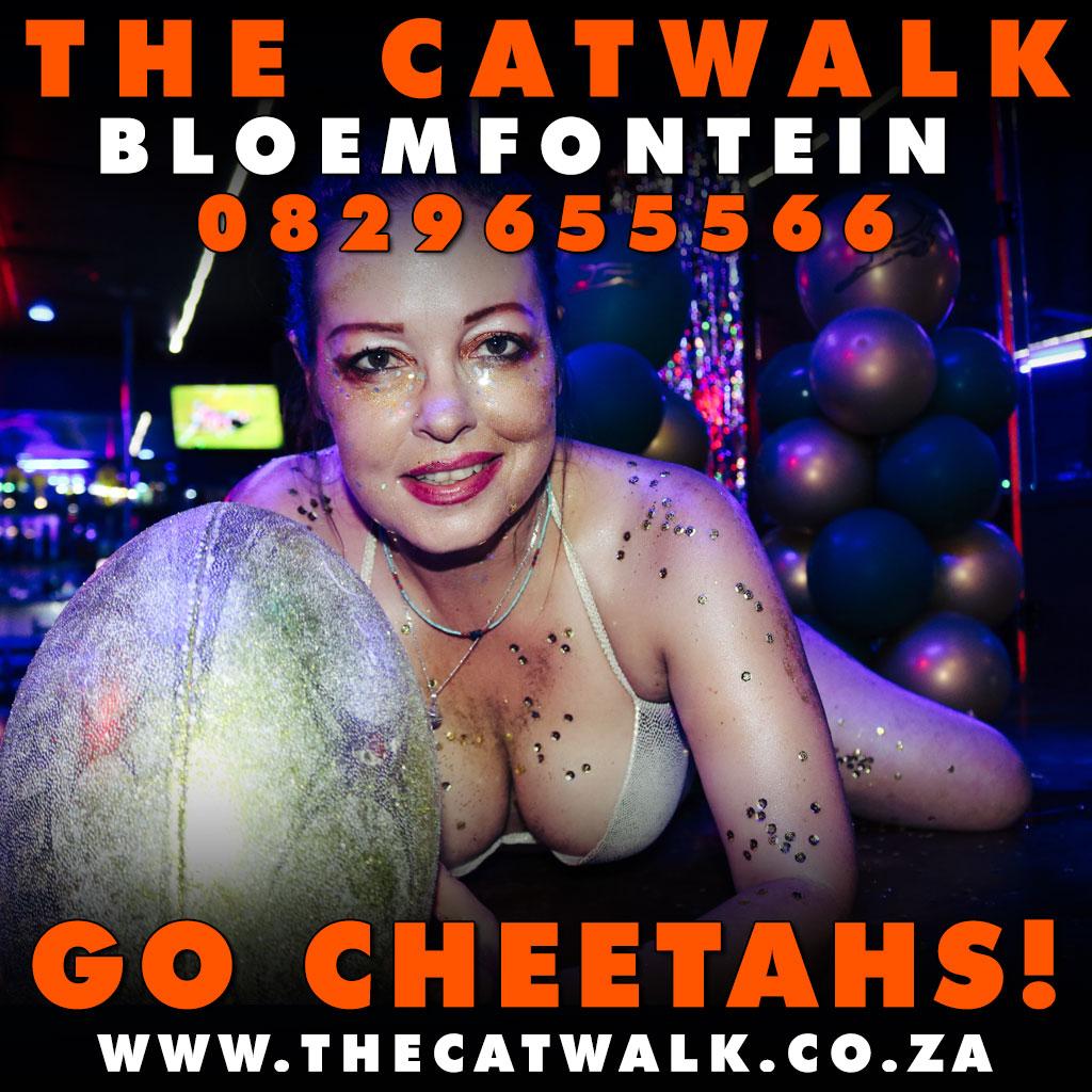 The Catwalk — News