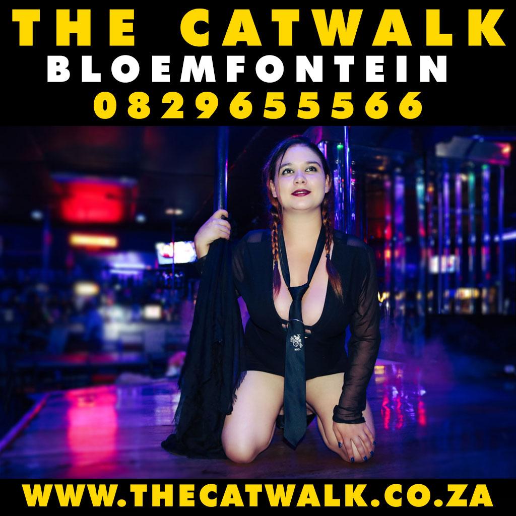 The Catwalk — News