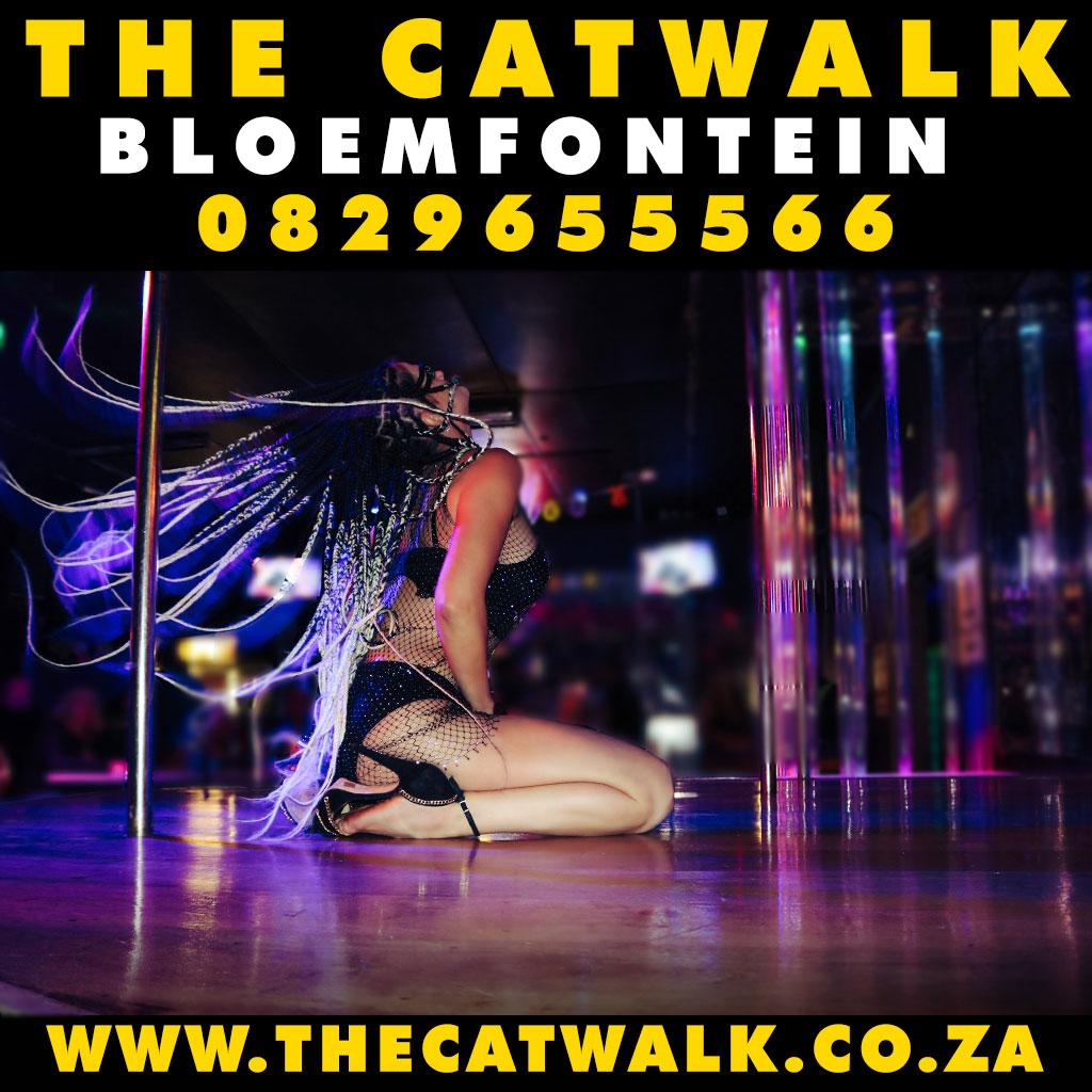 The Catwalk — News