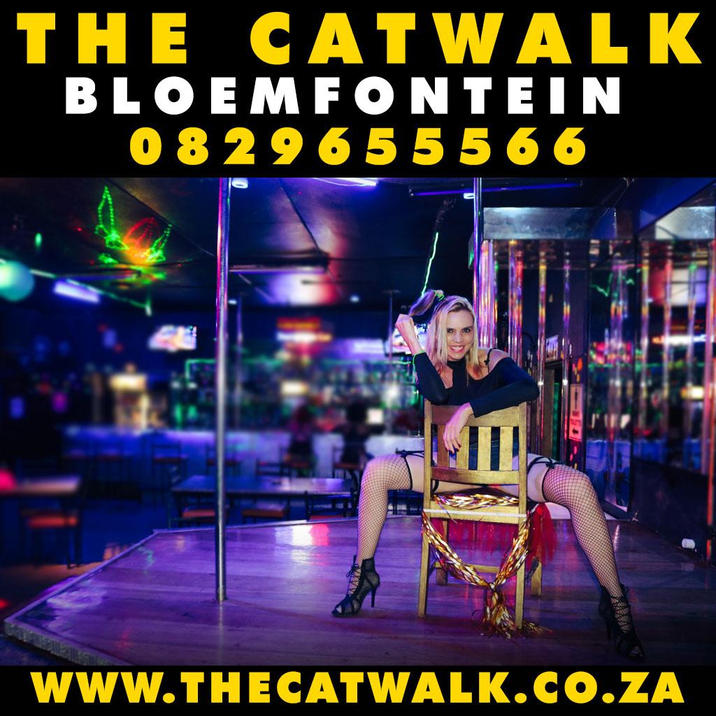 The Catwalk — News