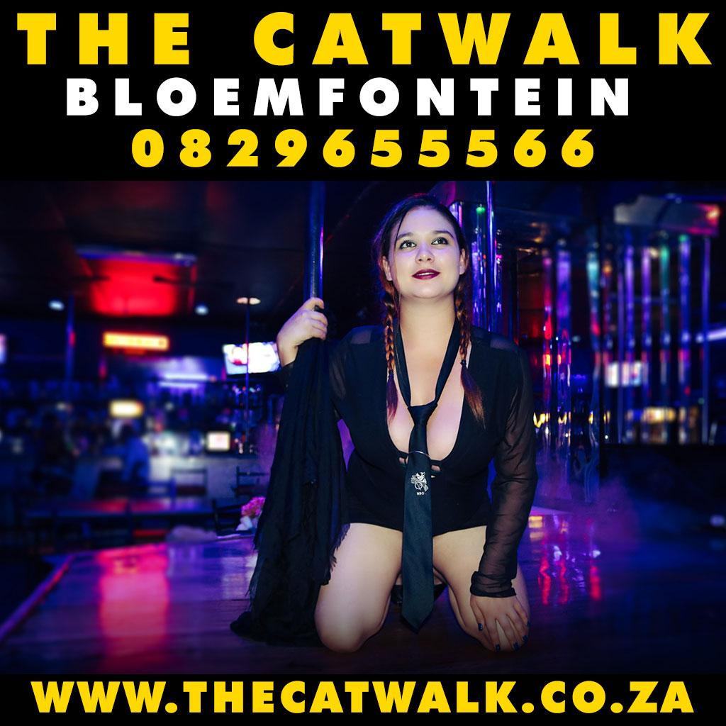 The Catwalk — News