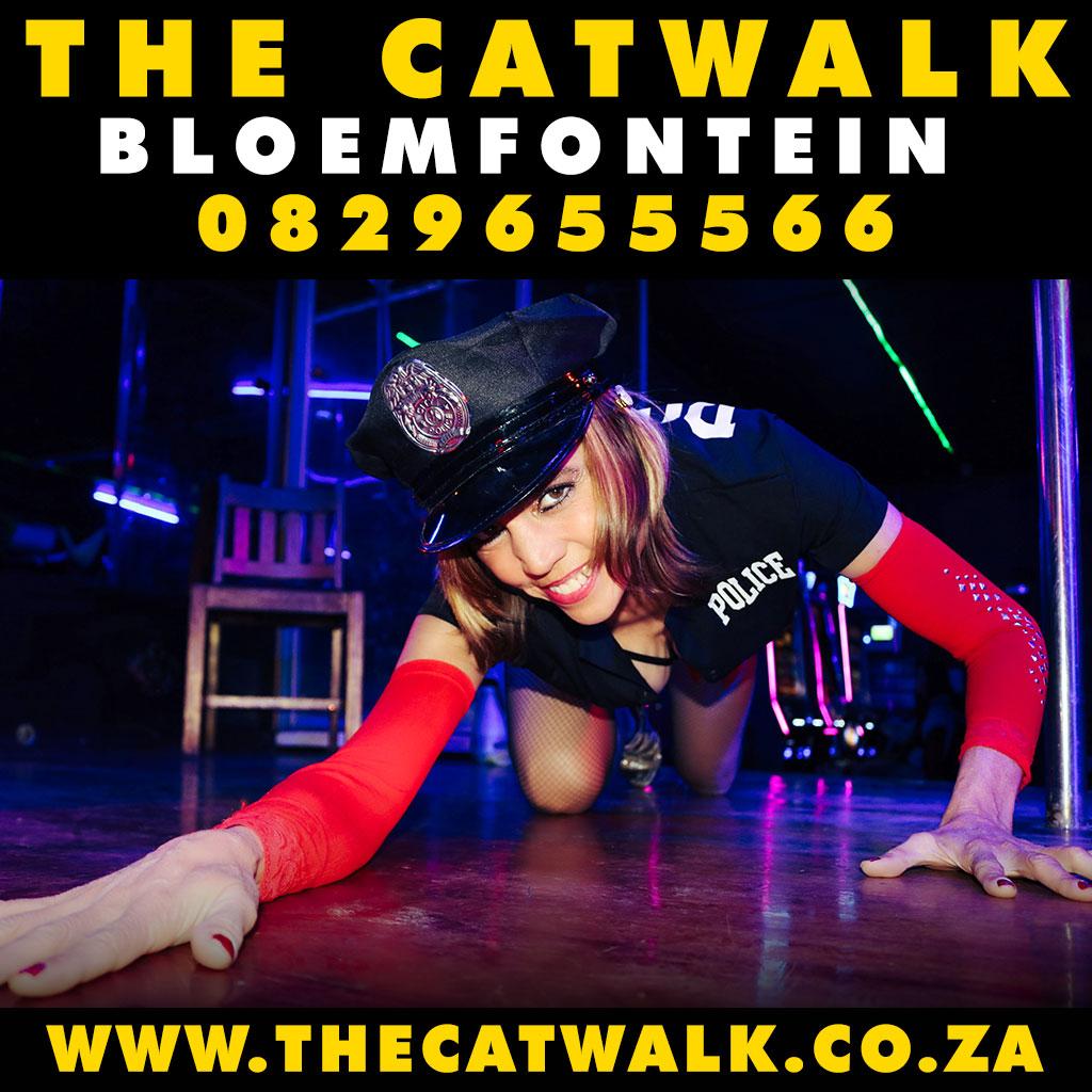 The Catwalk — News