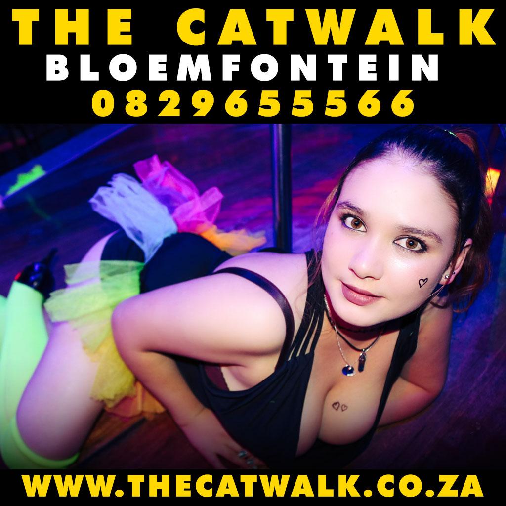 The Catwalk — News
